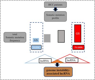 A Somatic Mutation-Derived LncRNA Signature of Genomic Instability Predicts Prognosis for Patients With Liver Cancer